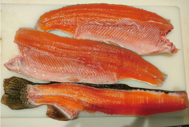 W-PHおさかな寝かせてシート